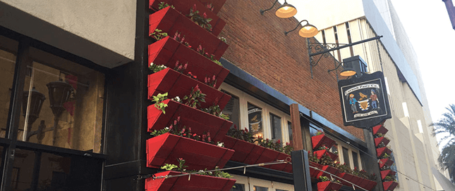 Brighten Your Restaurant with Vertical Wall Gardens
